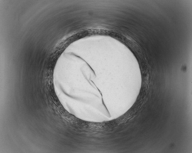 X0000115010870200912071202