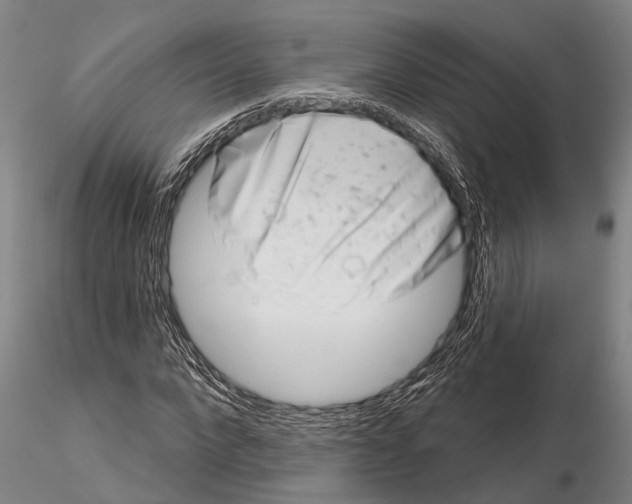 X0000115010872200912071201