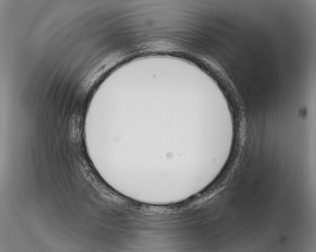 X0000115010873200912071201