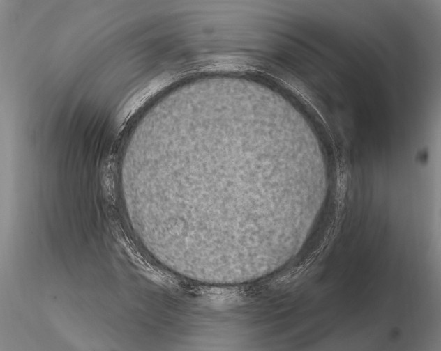 X0000115010874200912071201