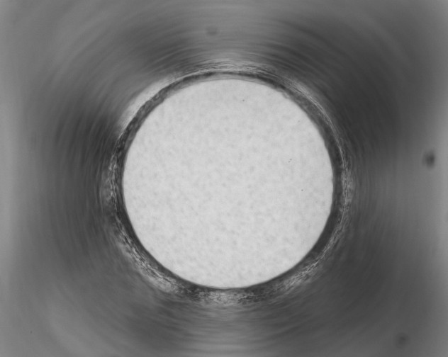 X0000115010875200912071201