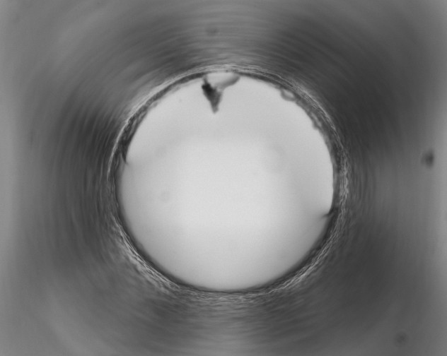 X0000115010876200912071201