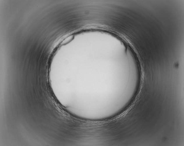 X0000115010877200912071201