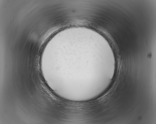 X0000115010878200912071201