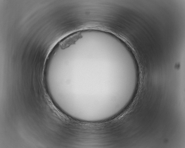 X0000115010880200912071201