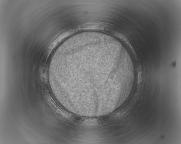 X0000115010882200912071201