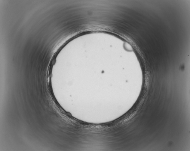 X0000115010885200912071201
