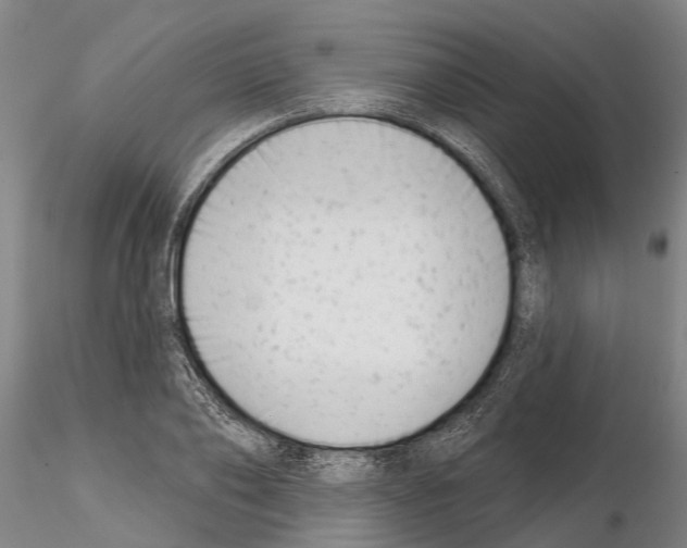 X0000115010886200912071201