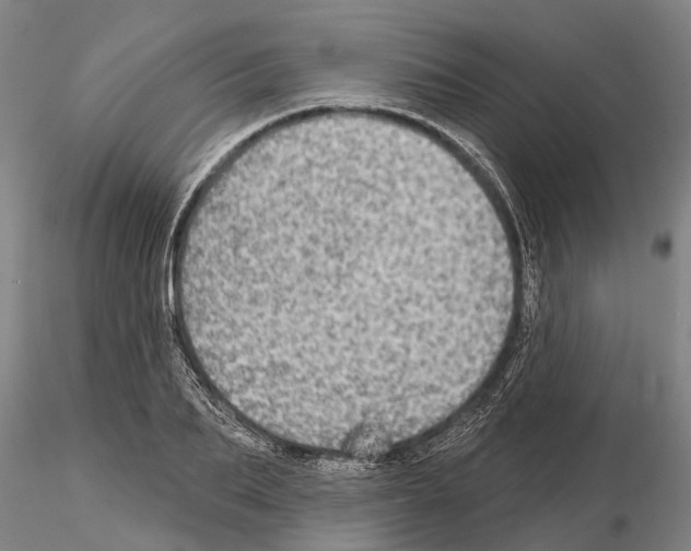 X0000115010887200912071201