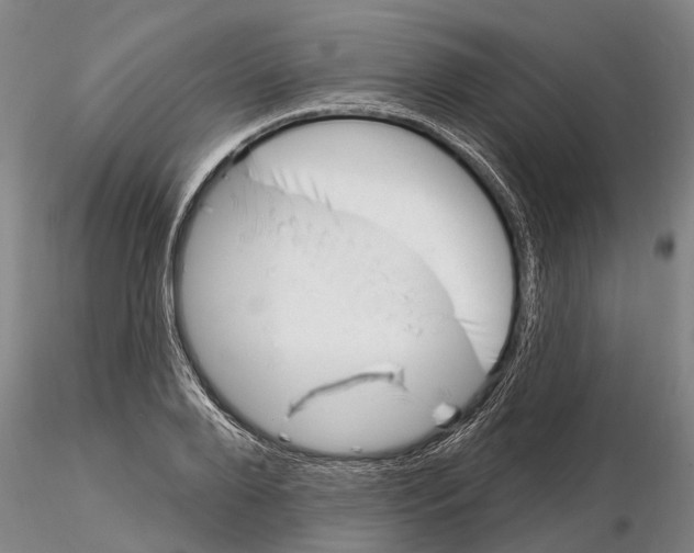 X0000115010888200912071201