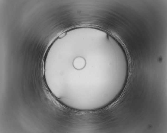X0000115010892200912071201