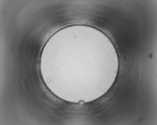 X0000115010895200912071201