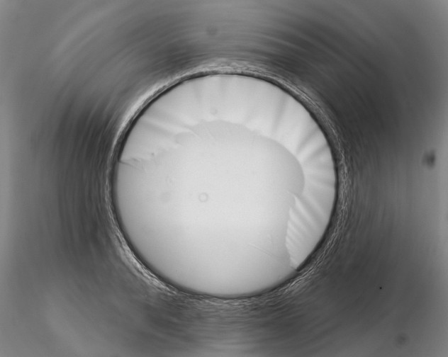 X0000115010896200912071201