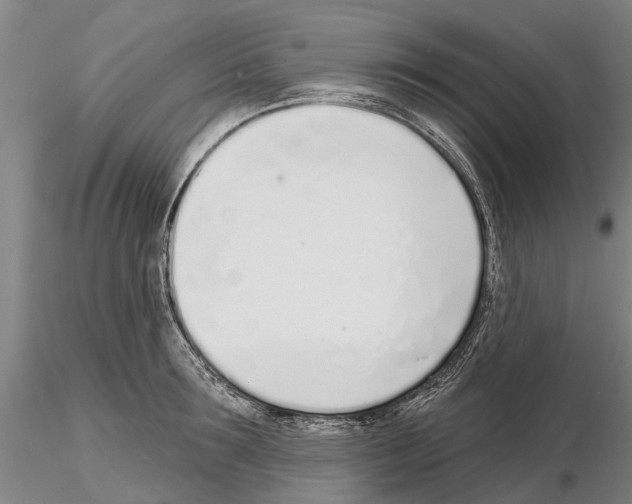 X0000115010899200912071201