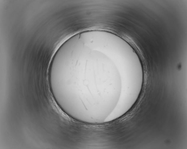X0000115010900200912071201