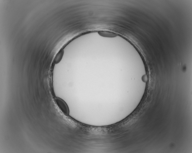 X0000115010901200912071201