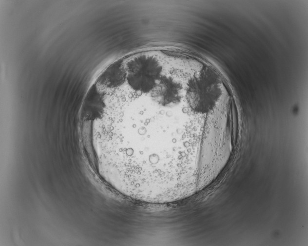 X0000115010907200912071201