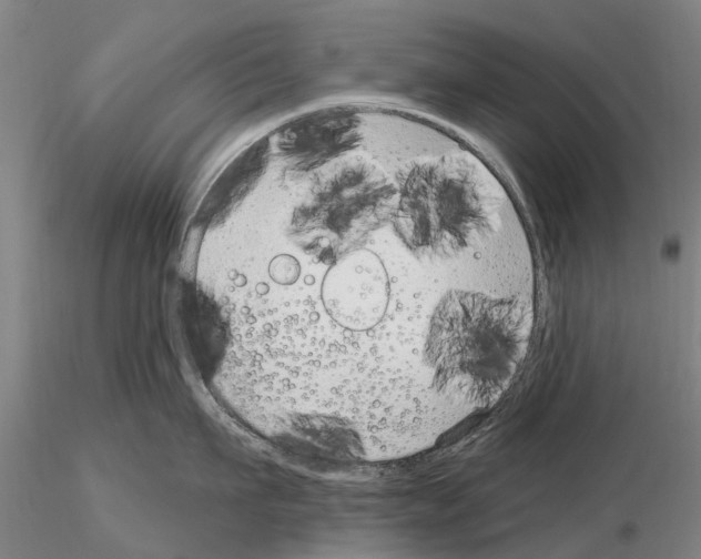 X0000115010911200912071201