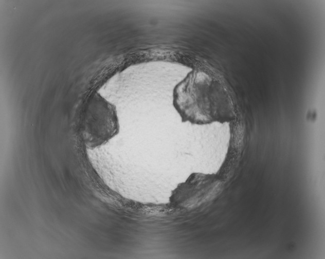 X0000115010913200912071200