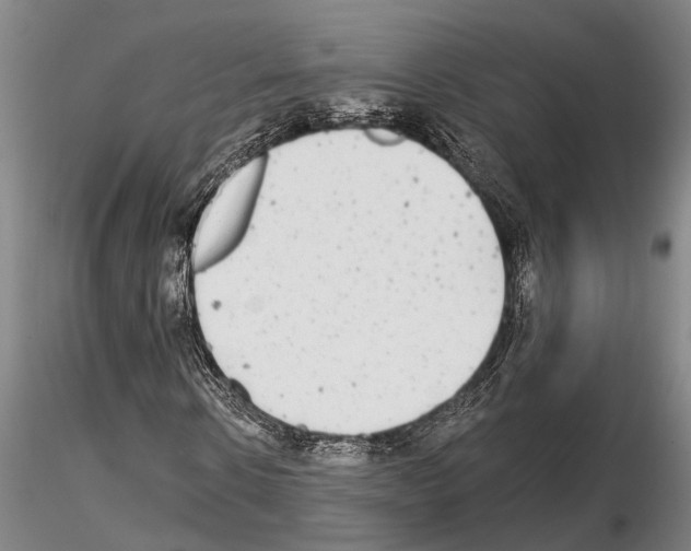 X0000115010914200912071200