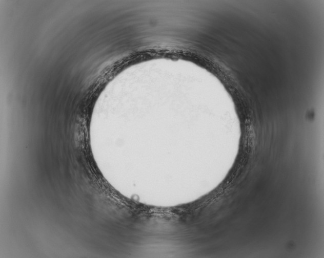 X0000115010918200912071200