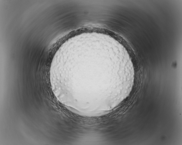 X0000115010919200912071200