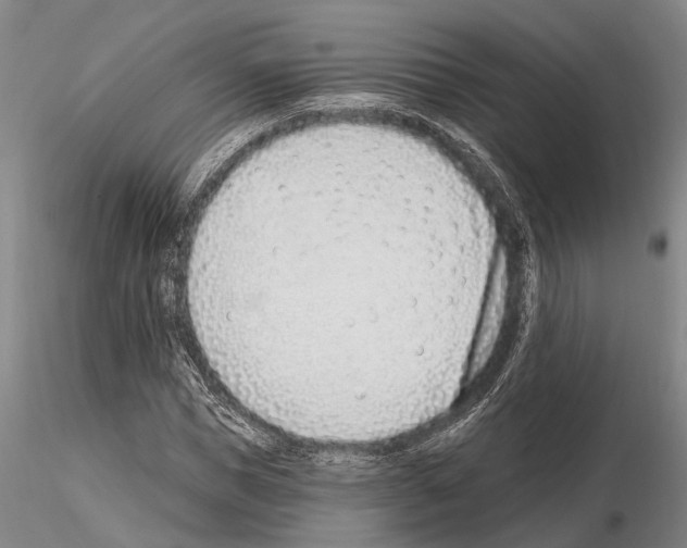 X0000115010921200912071200