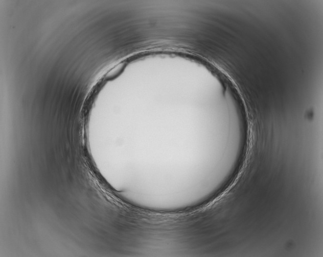 X0000115010925200912071200