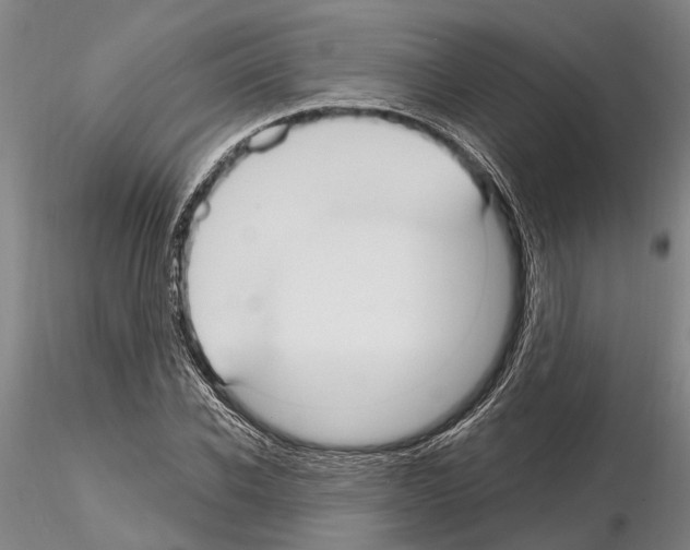 X0000115010926200912071200