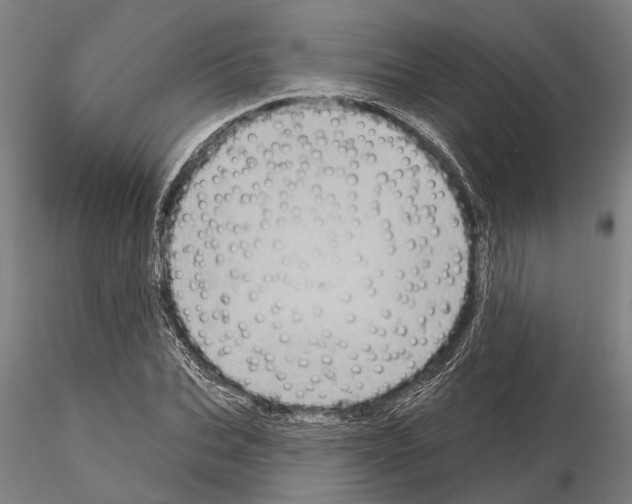 X0000115010927200912071200