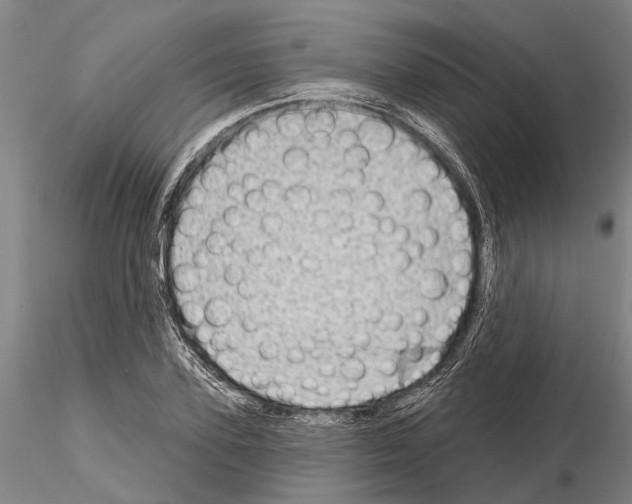 X0000115010931200912071200