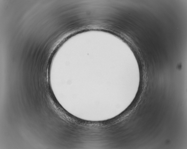 X0000115010934200912071200