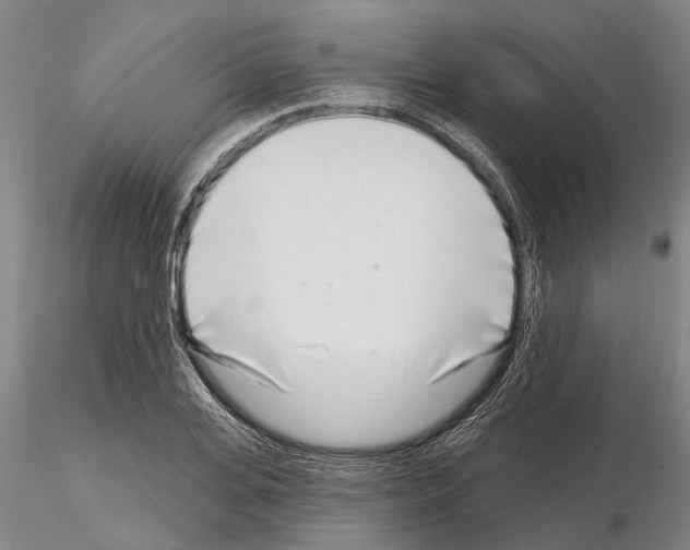 X0000115010935200912071200