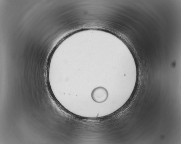 X0000115010942200912071201