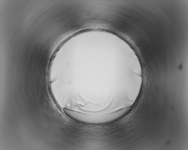 X0000115010943200912071201