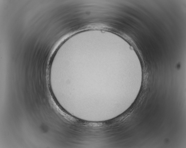 X0000115010947200912071201