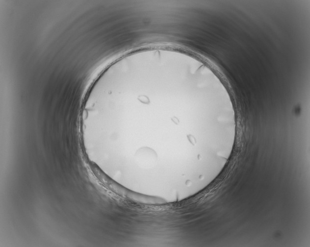 X0000115010951200912071201