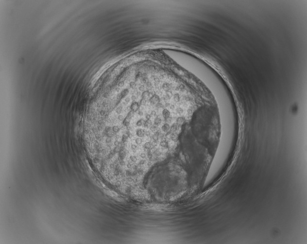 X0000115010953200912071201