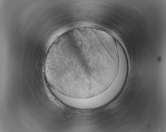 X0000115010954200912071201