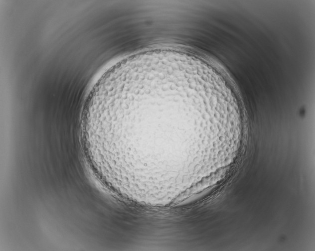 X0000115010955200912071201