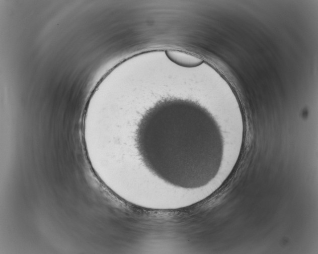 X0000115010958200912071201