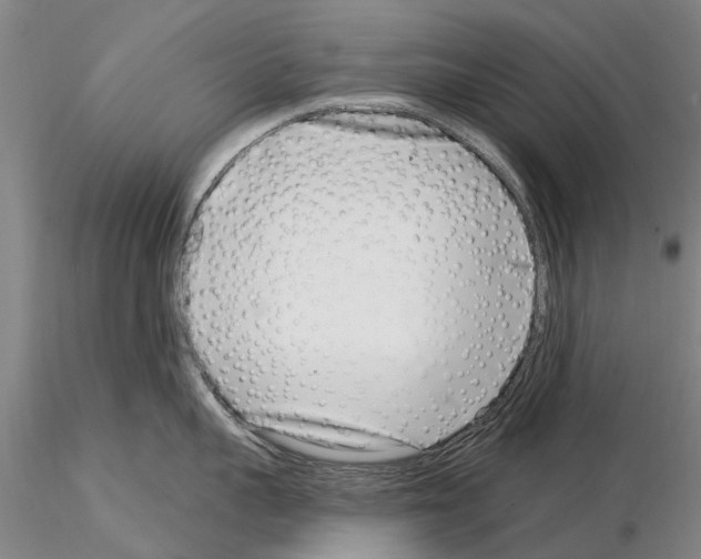 X0000115010959200912071201
