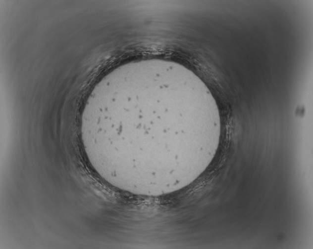 X0000115010961200912071200