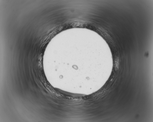 X0000115010964200912071200