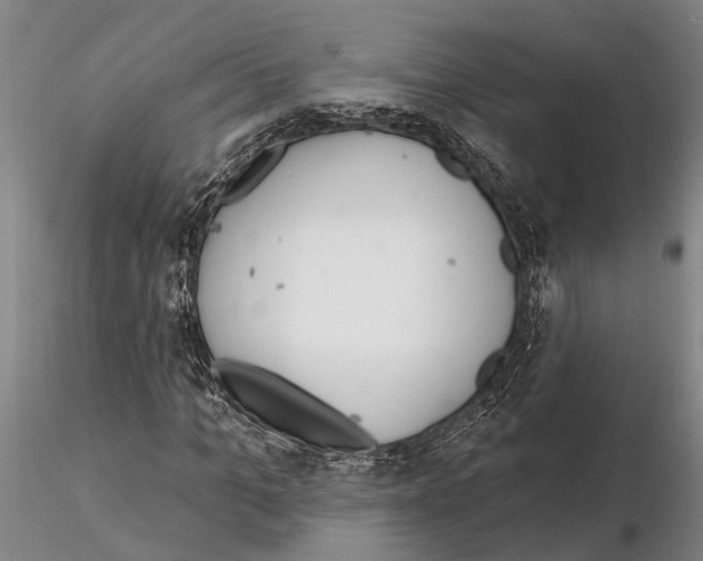 X0000115010965200912071200