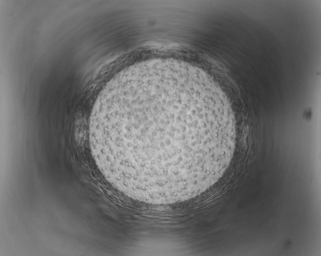 X0000115010966200912071200