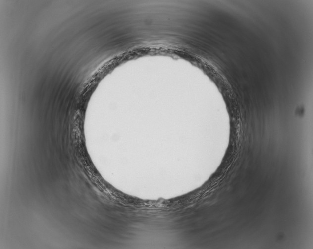 X0000115010968200912071200