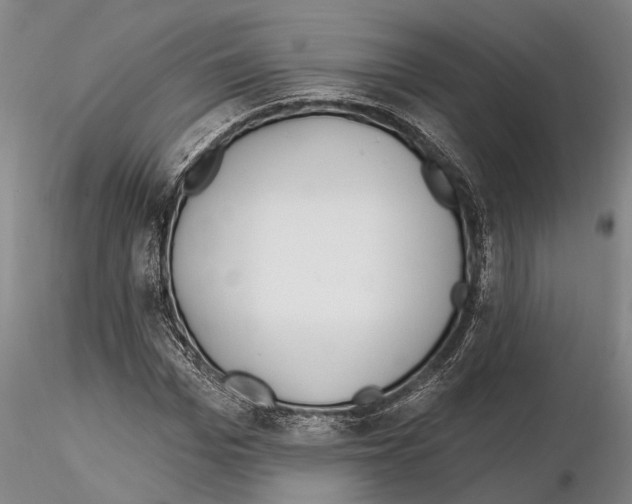 X0000115010969200912071200