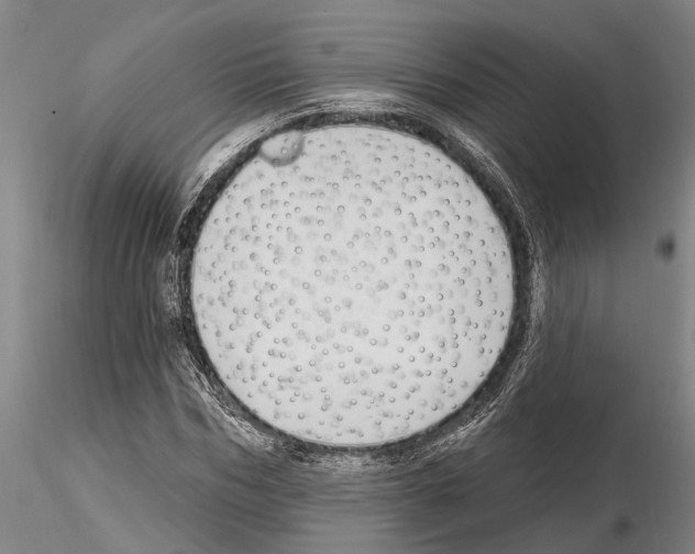 X0000115010970200912071200