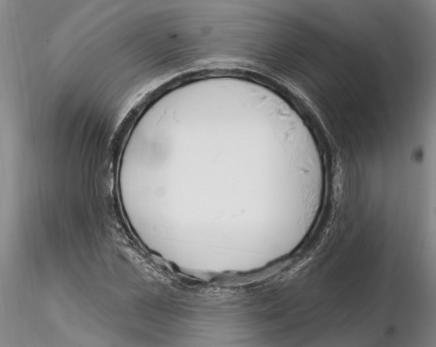 X0000115010973200912071200